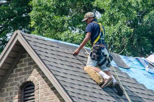 Best Roof Leak Repair  in Dell Rapids, SD